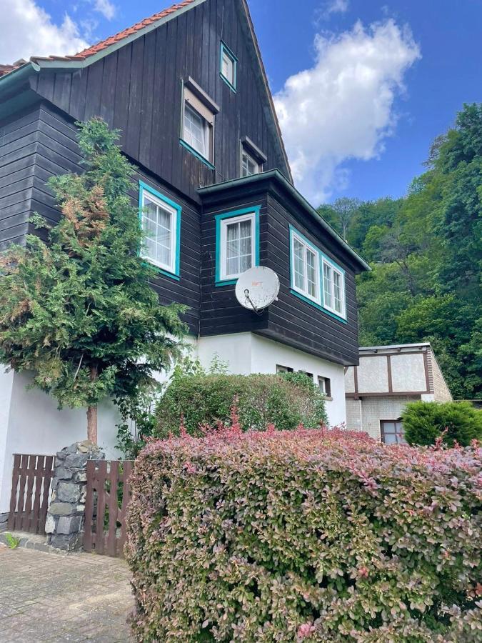 Sonniges Apartment Altenbrak Exterior photo