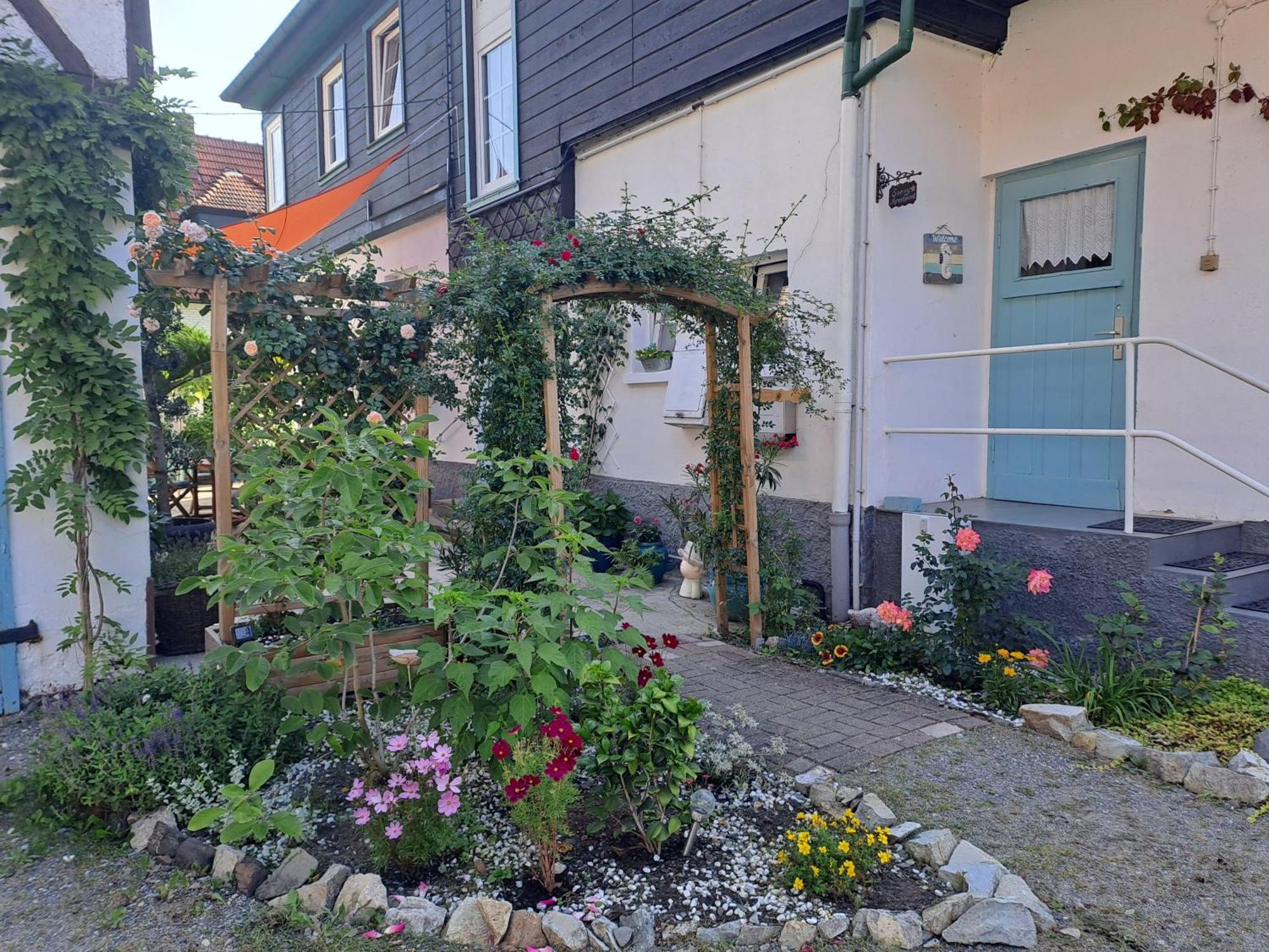 Sonniges Apartment Altenbrak Exterior photo
